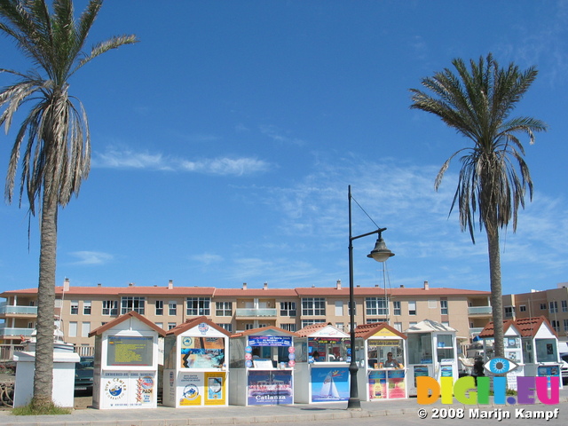 27638 Booths and palm trees at Corralejo harbour